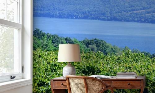 Vineyard Vista