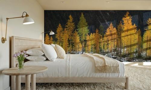 Alpine Larches