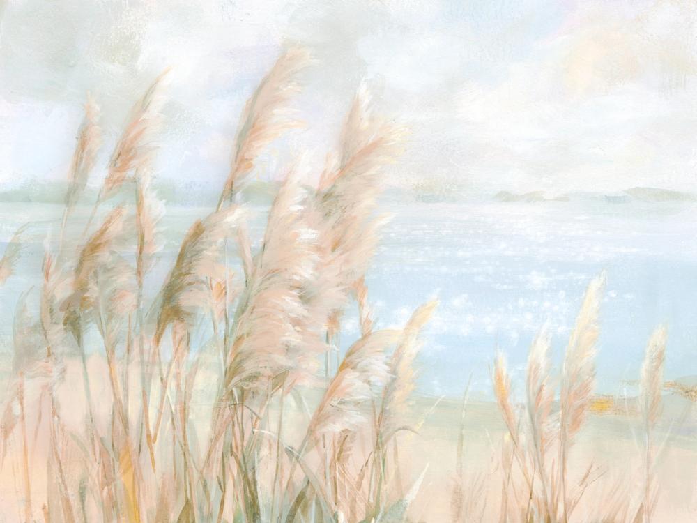 Seaside Pampas Grass Light