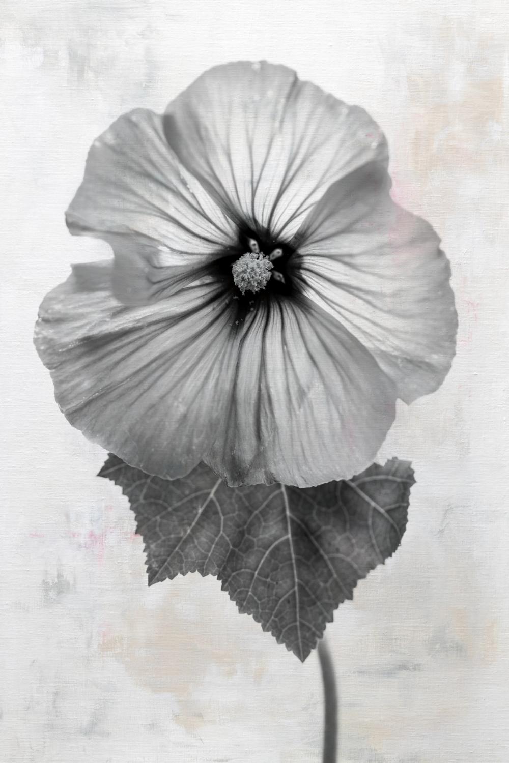 Wonderful Wildflowers III Neutral