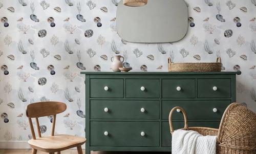 Sea Shells