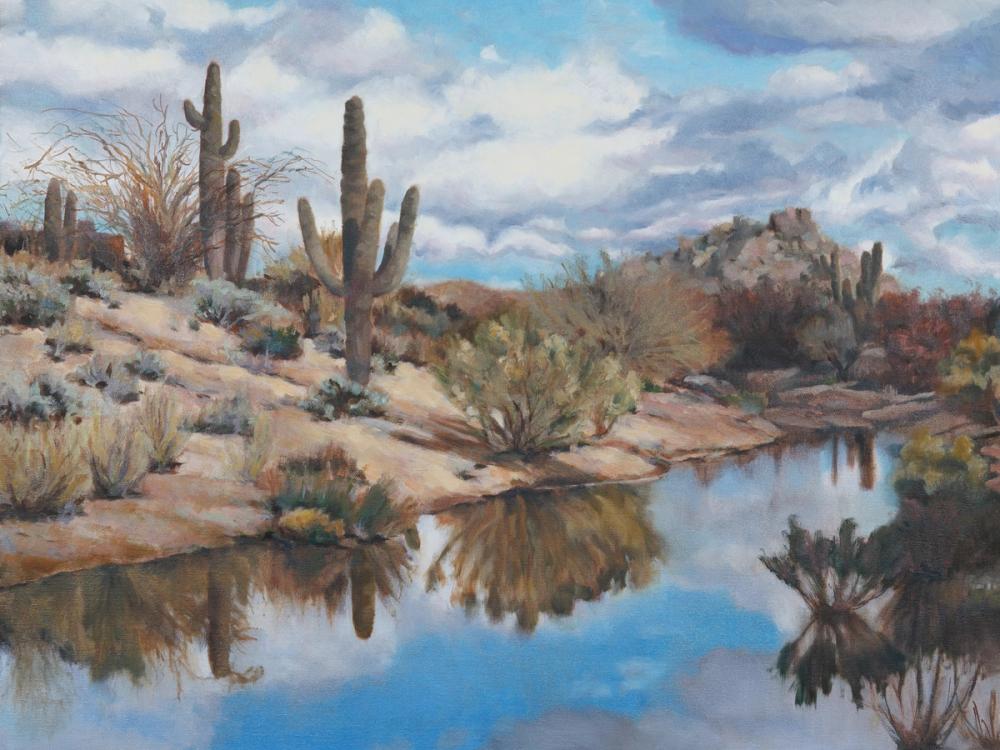 Desert Rains