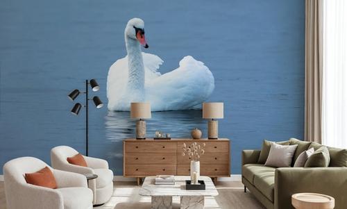White Swan