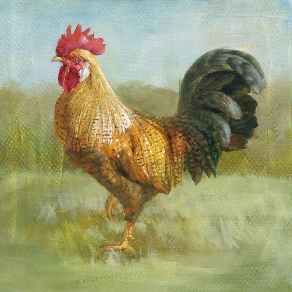 Noble Rooster II