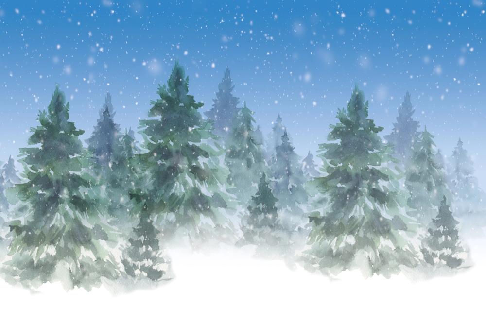 Winter Trees