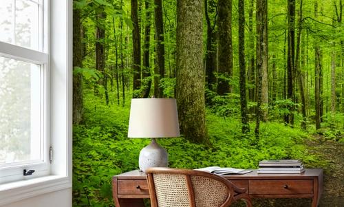 Emerald Woodland Path