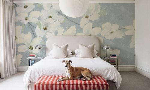 Dogwood White