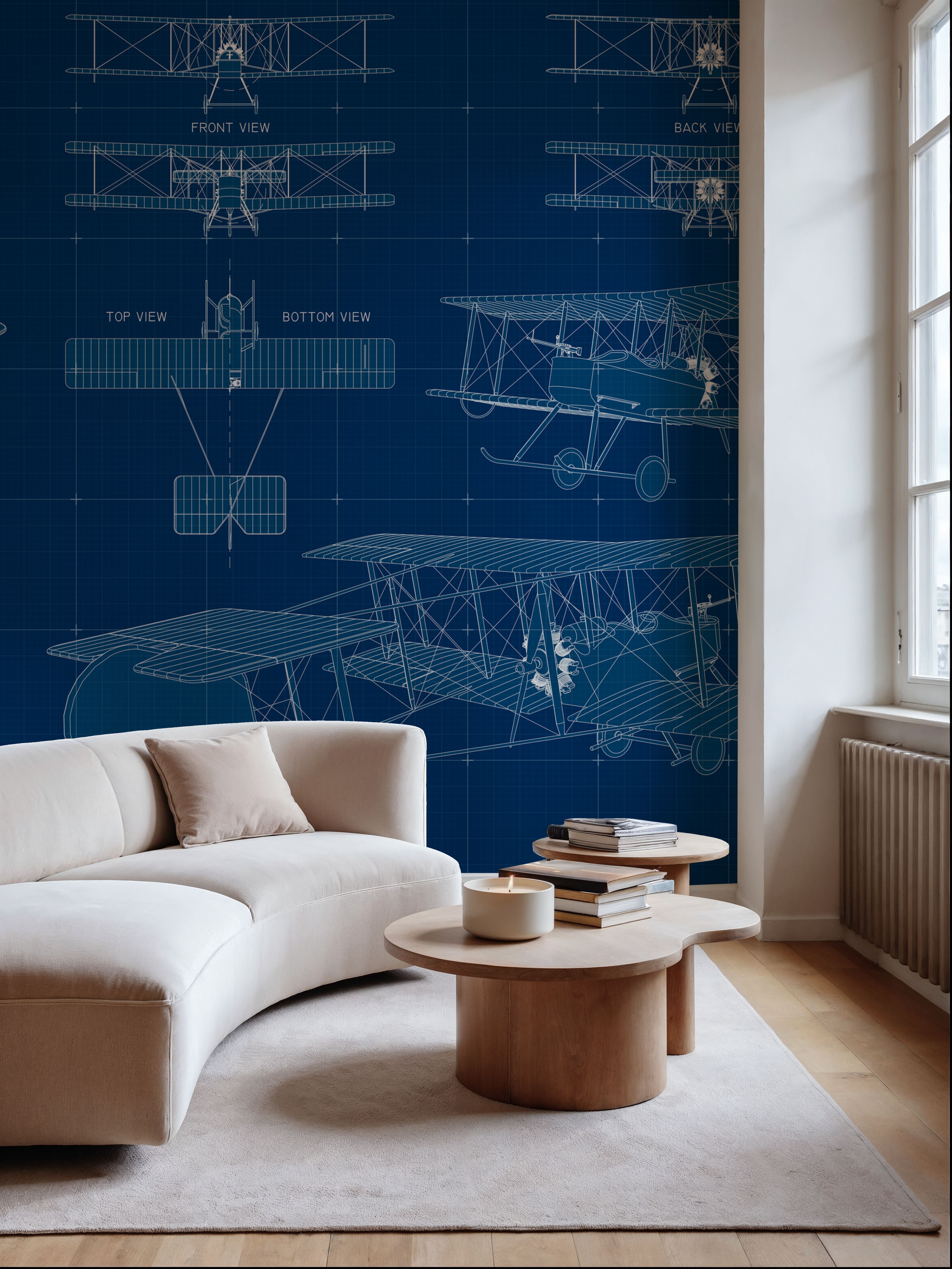 Single Biplane Blueprint