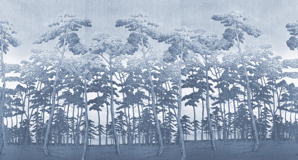 Tranquil Pinescape, Sky