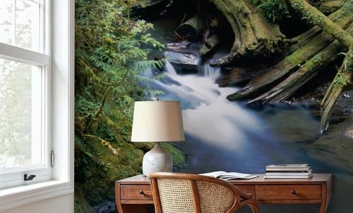 Willaby Creek, Washington State