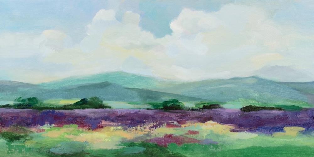 May Lavender Field II