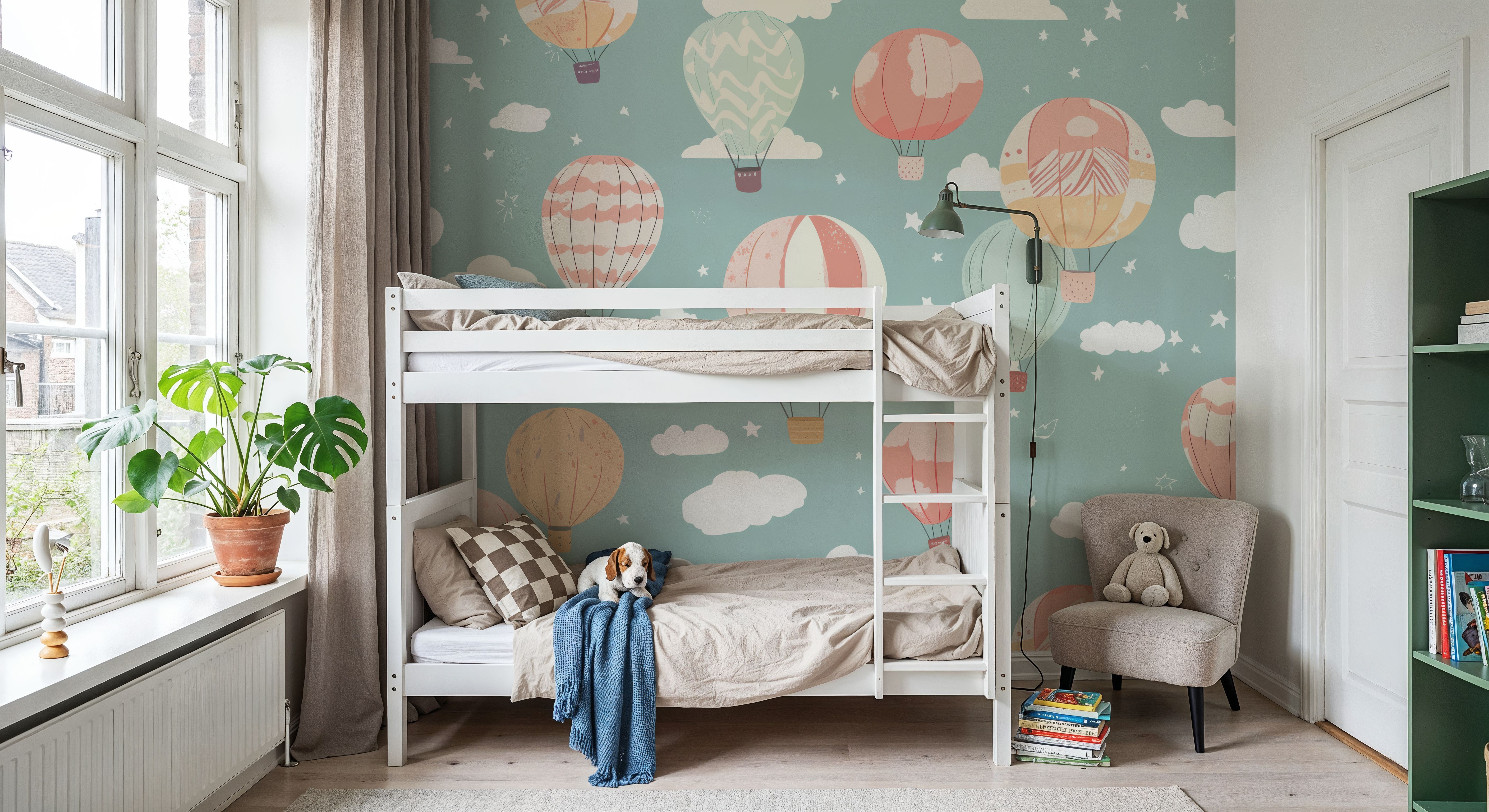 Hot Air Balloon Cloudy