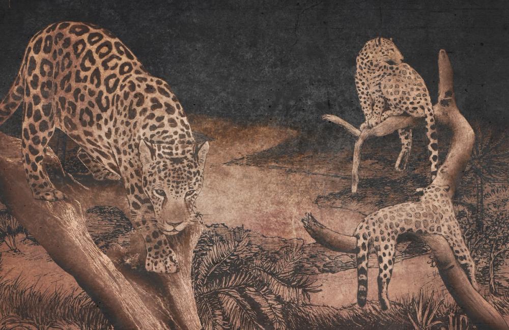 Brazilian Leopards