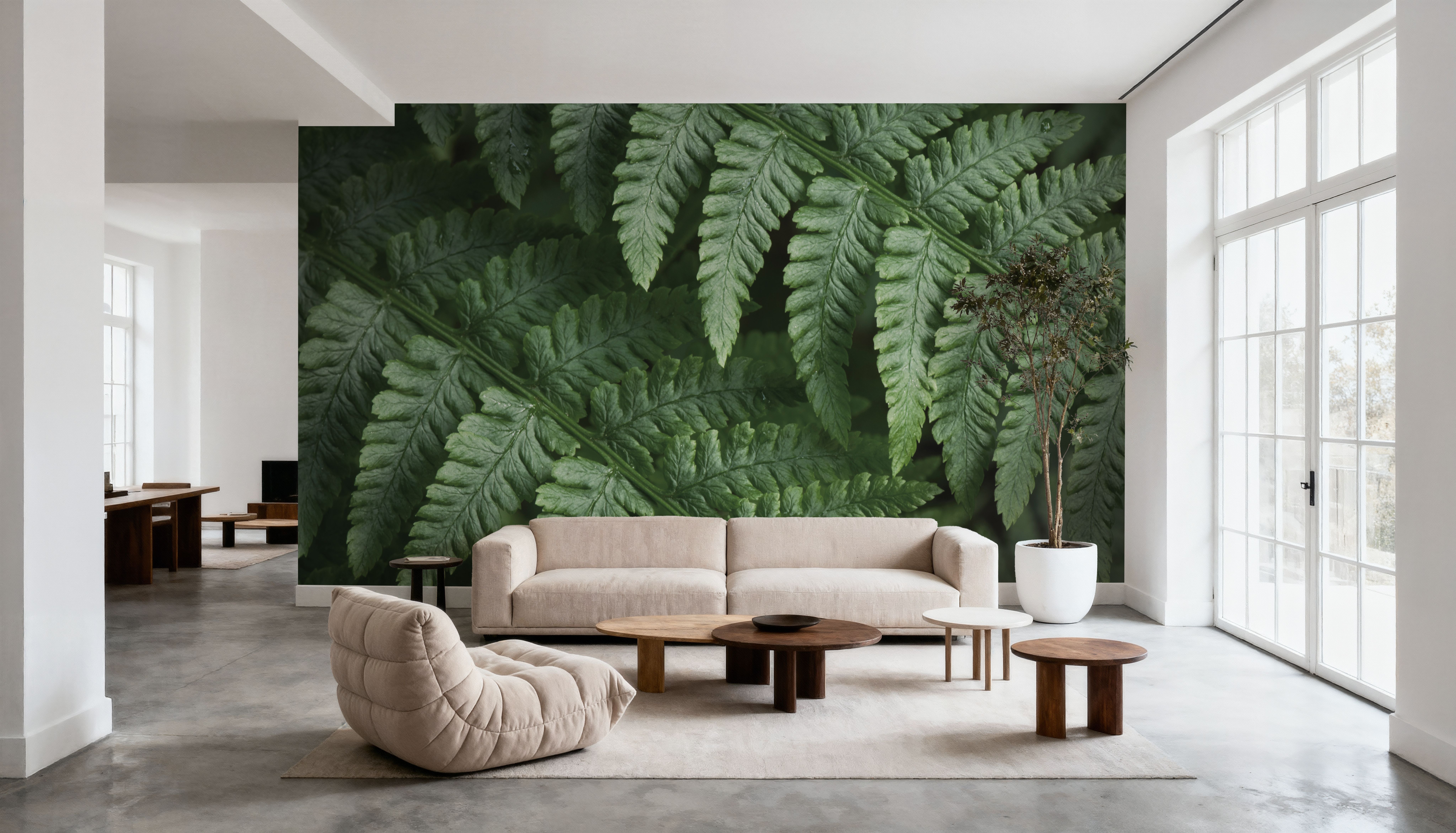 Fern Lines