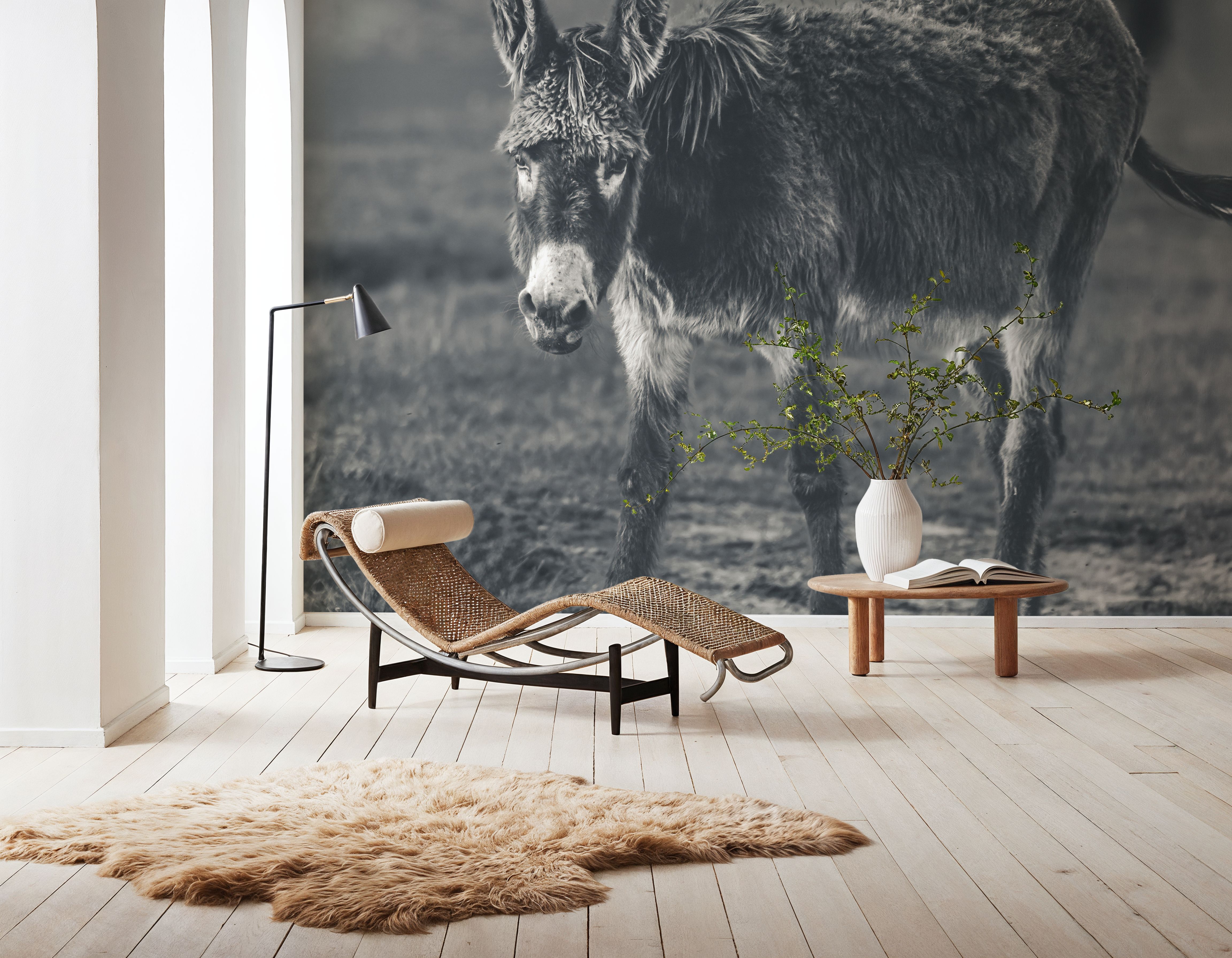 Donkey Summer III BW