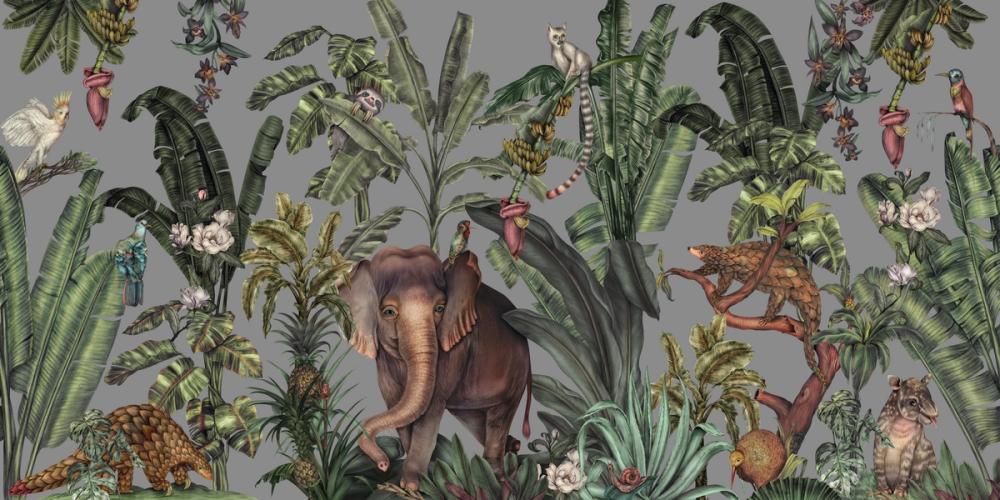 Jungle Kingdom, Slate