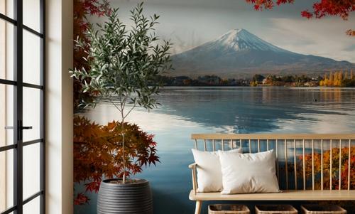 Mount Fuji Framed