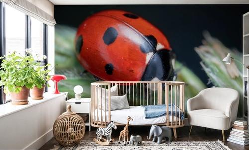 Ladybug Walk