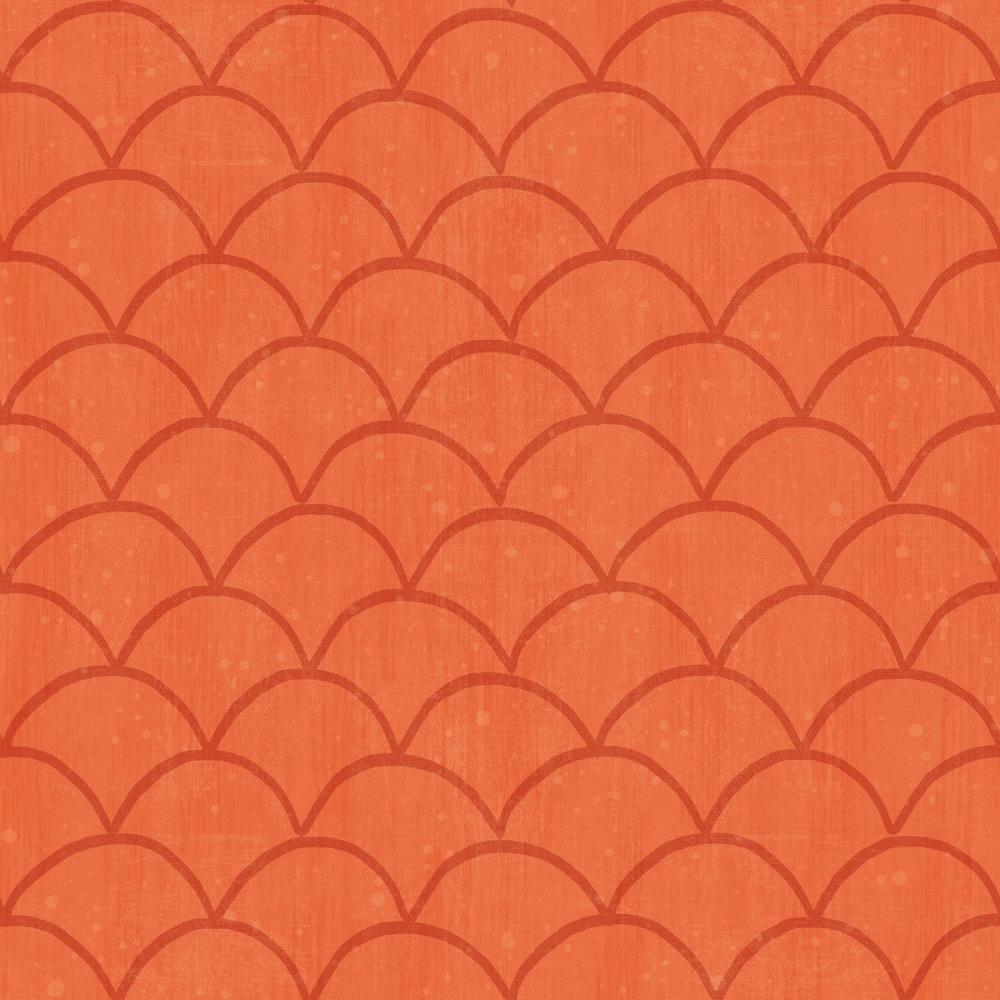 Coastal Scales Orange