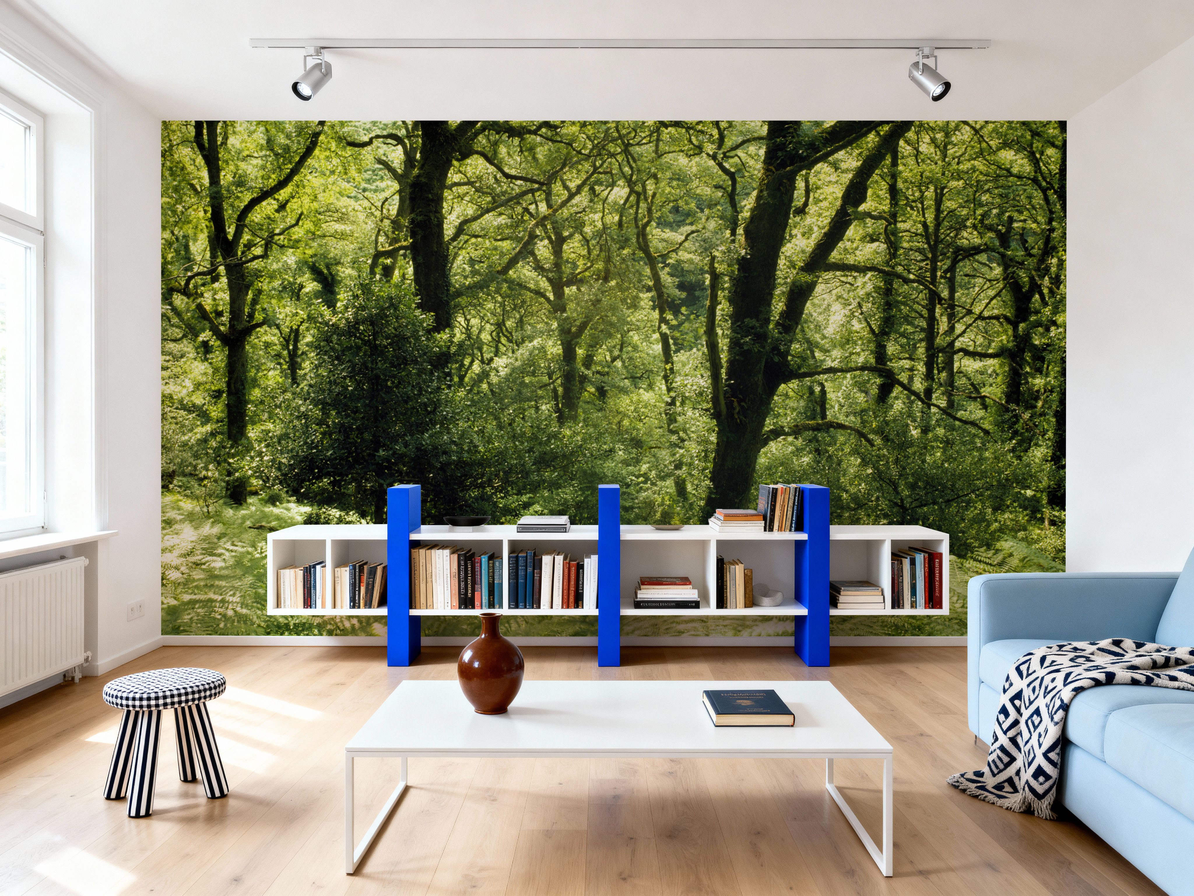 Enchanted Woodland