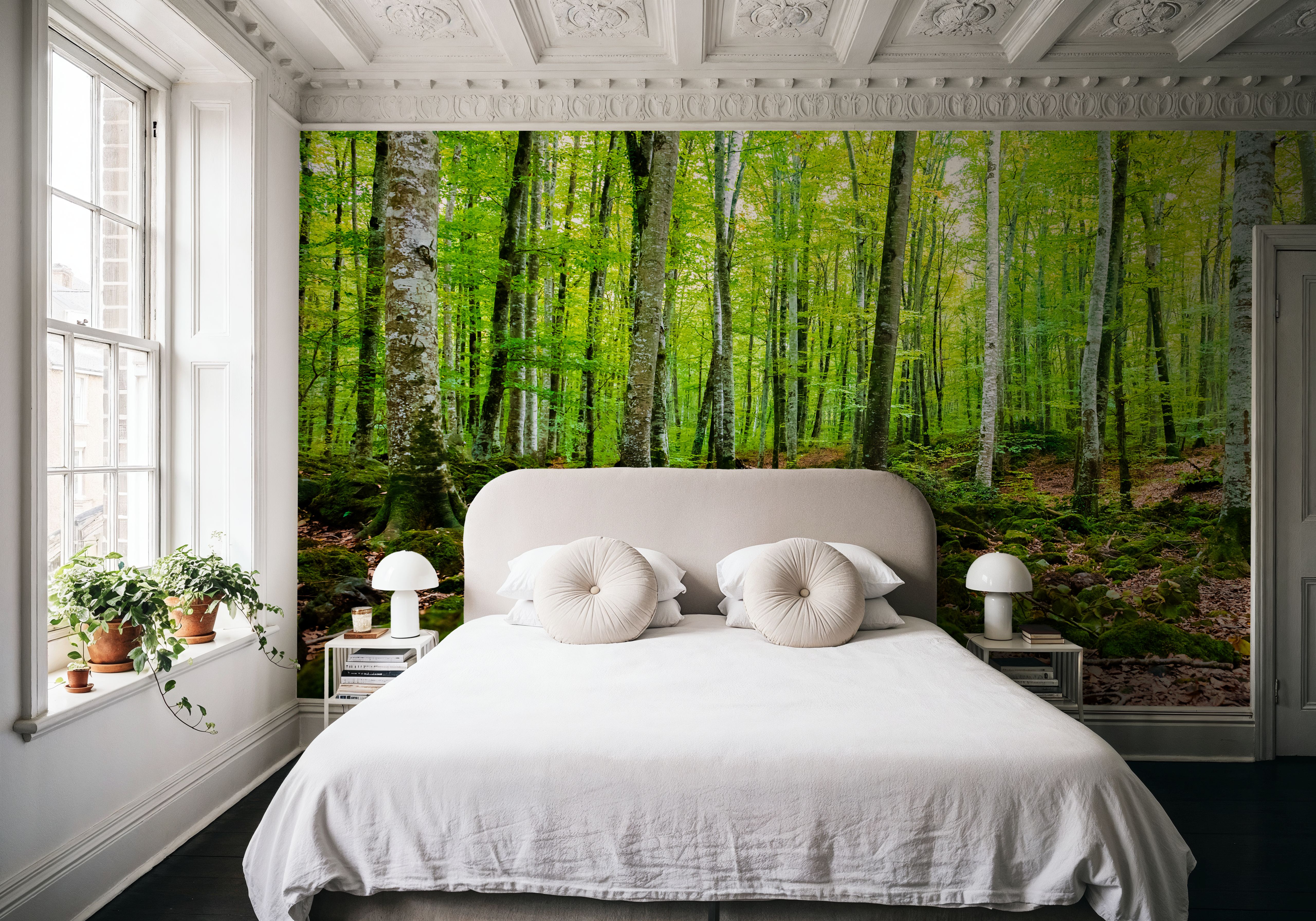 Intense Birch Wood , Wallpaper