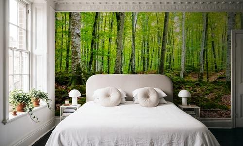 Intense Birch Wood