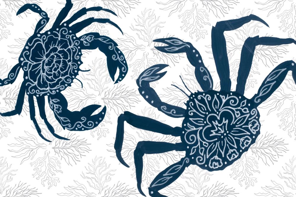 Delicate Coastline II