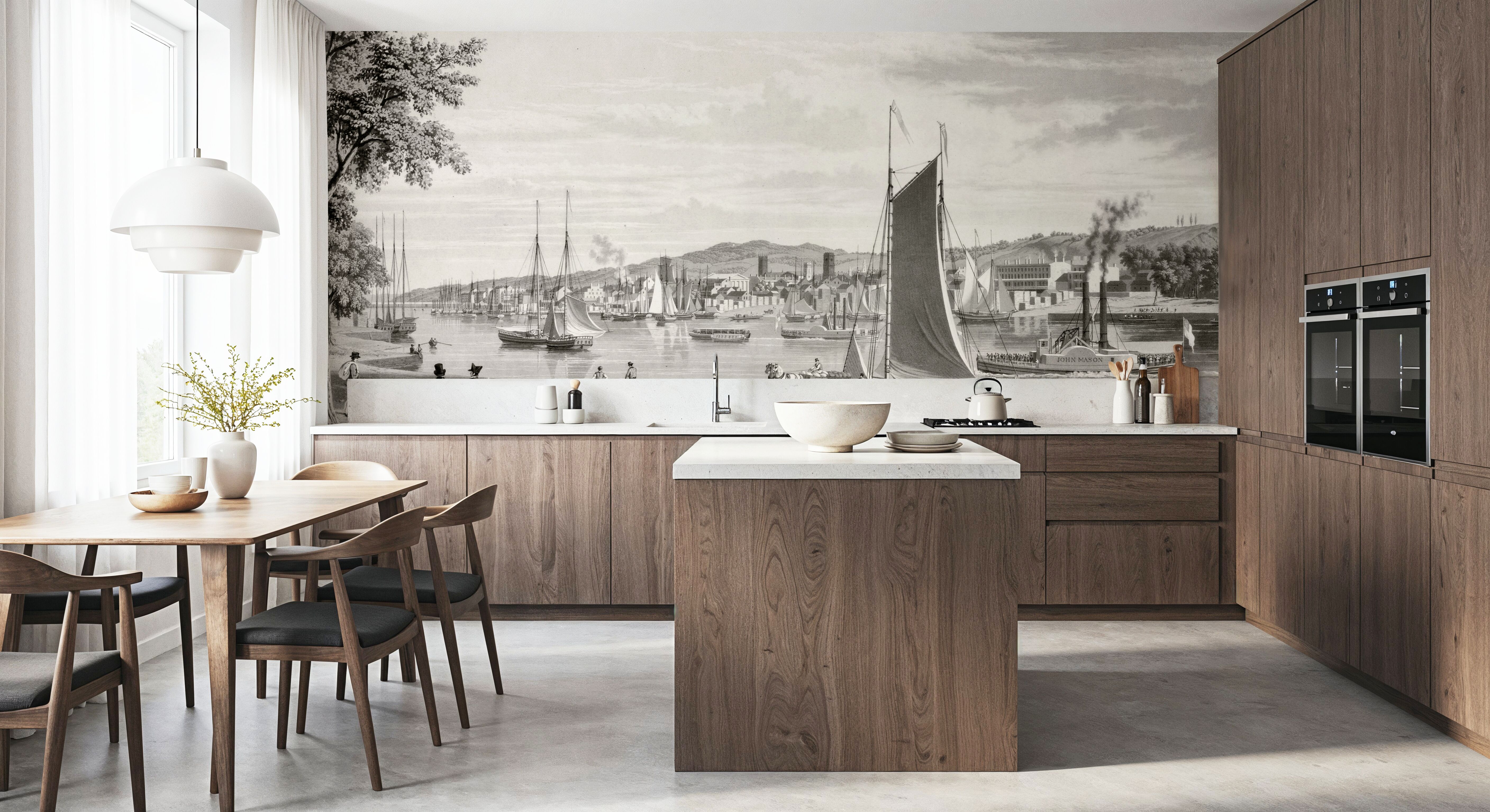 Old view of Troy & Hudson river,  1838