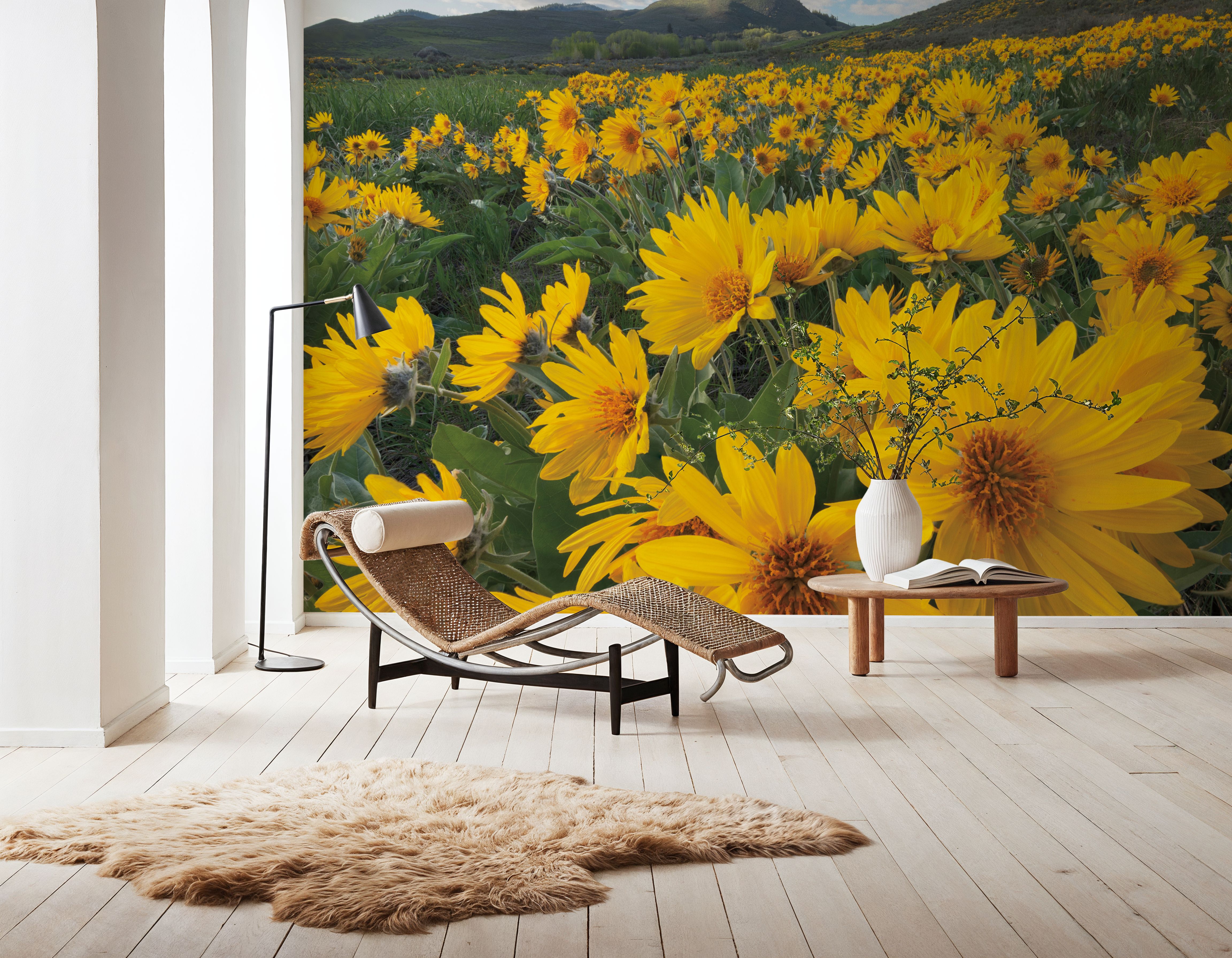 Methow Valley Wildflowers II