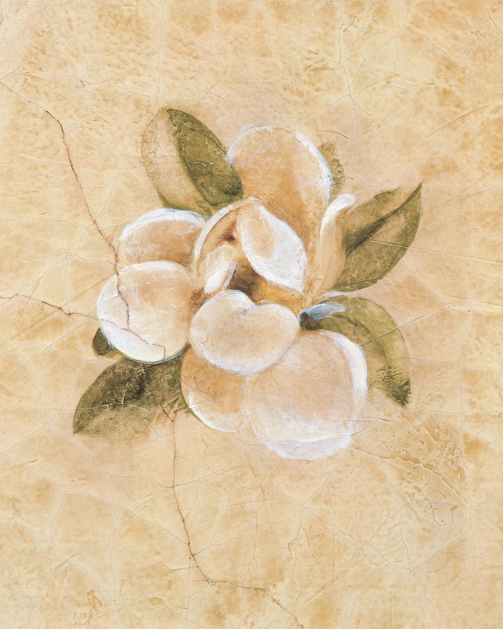 Magnolia on Cracked Linen