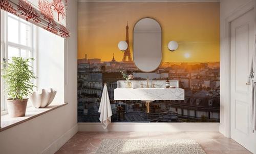 Sunset in Paris