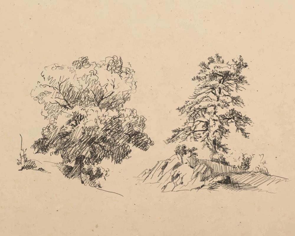 Tree Duo