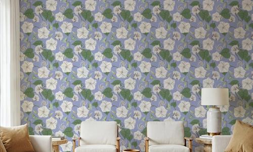 Moon Vine, Light Blue