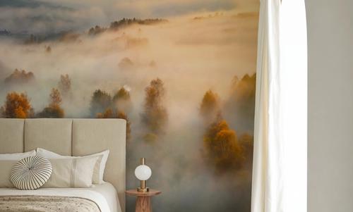Foggy Birch Dream