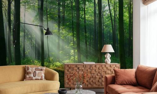 Tranquil Woods