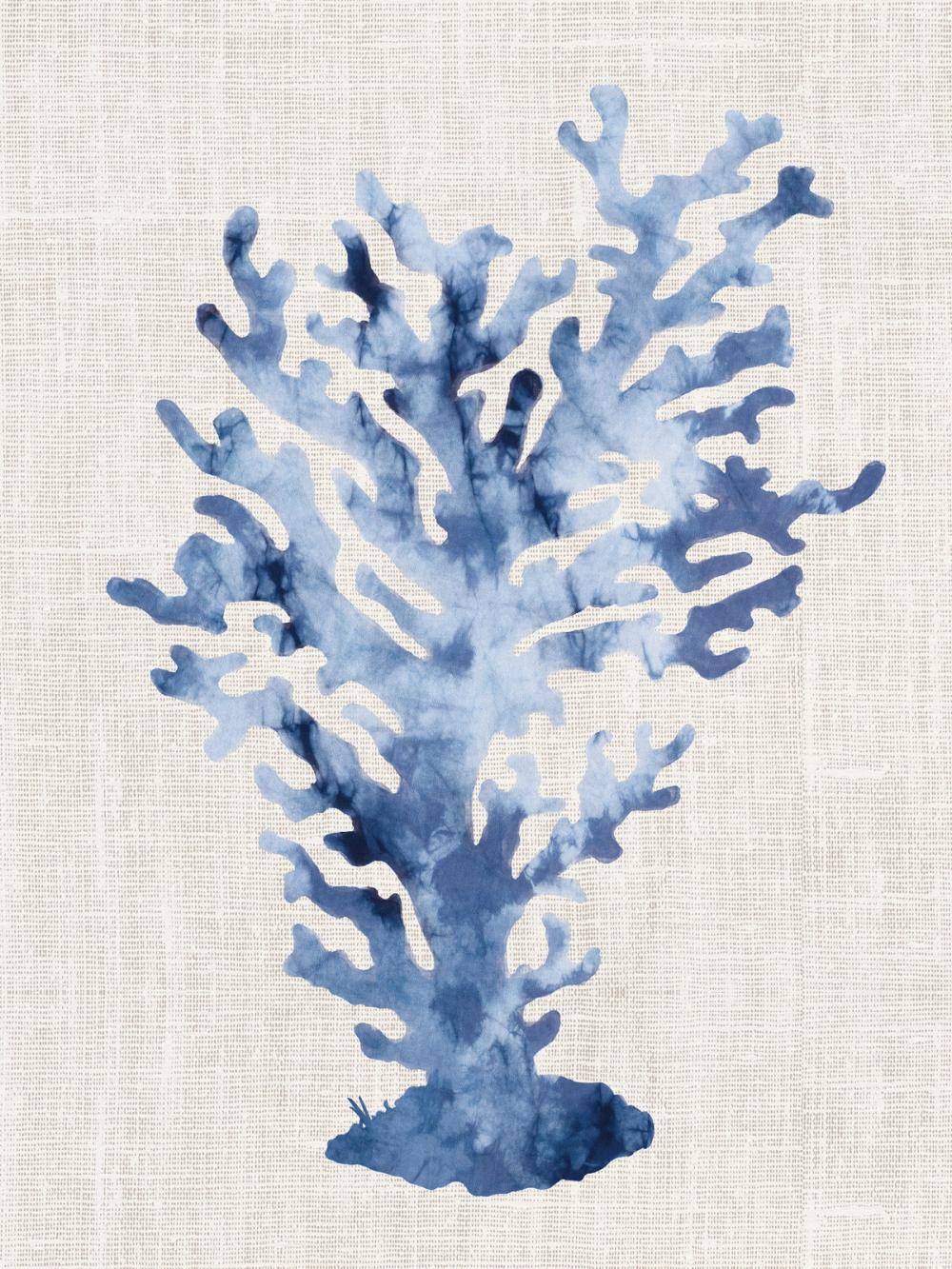Shibori Coral III on Linen