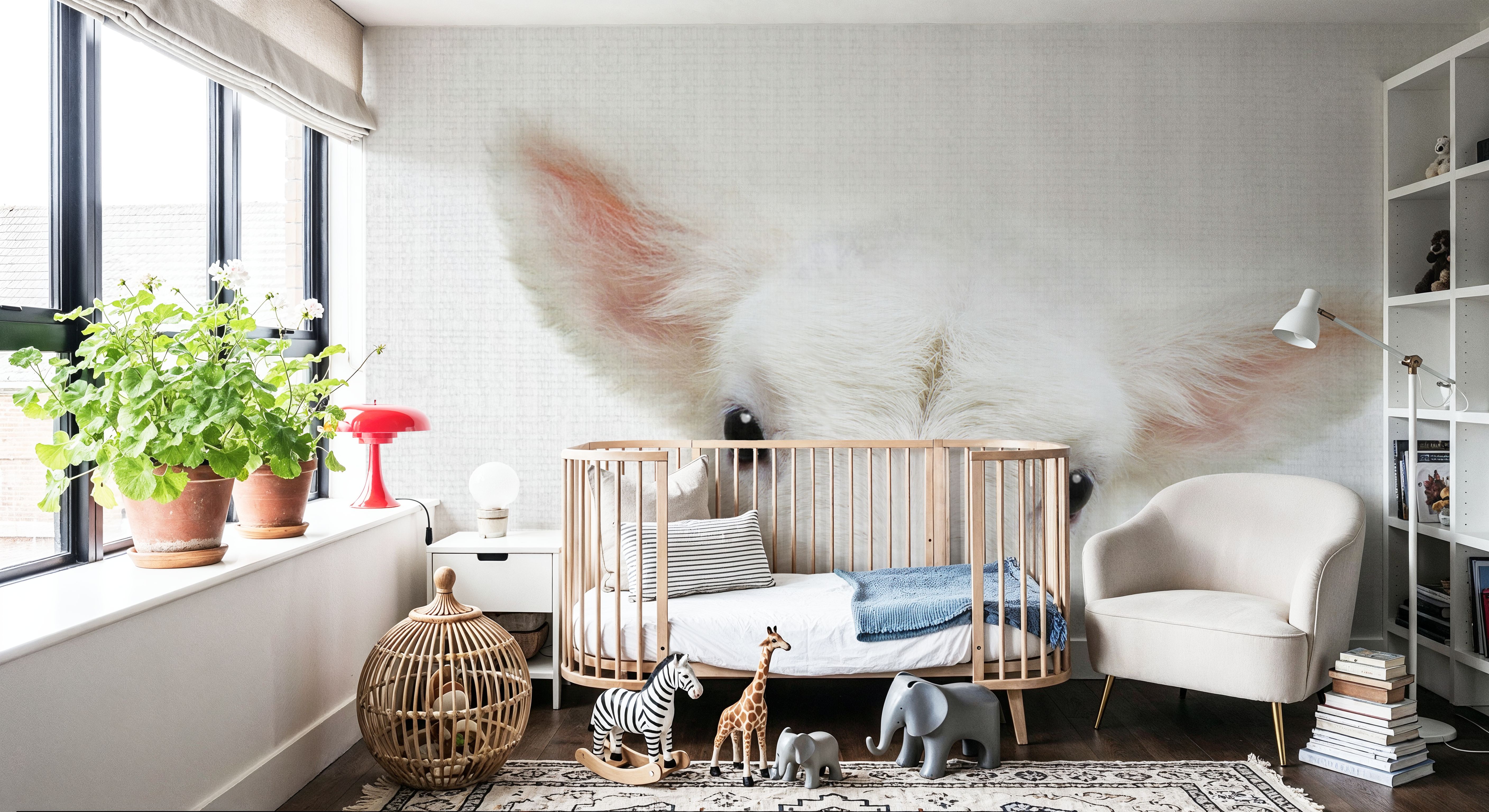 Peekaboo Baby Sheep, Wallpaper