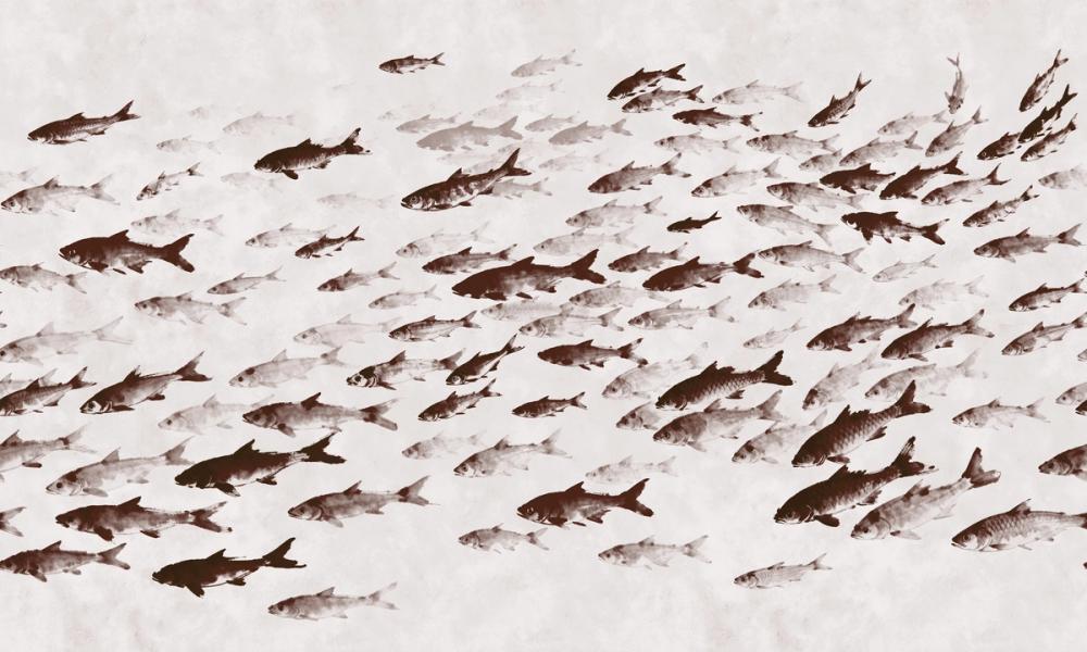 Sumi Current, Red Umber