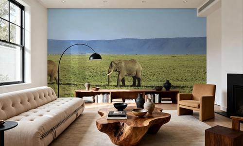Savanna Migration