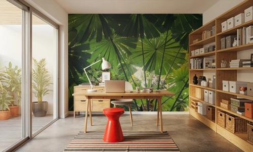 Tropical Fan Fronds