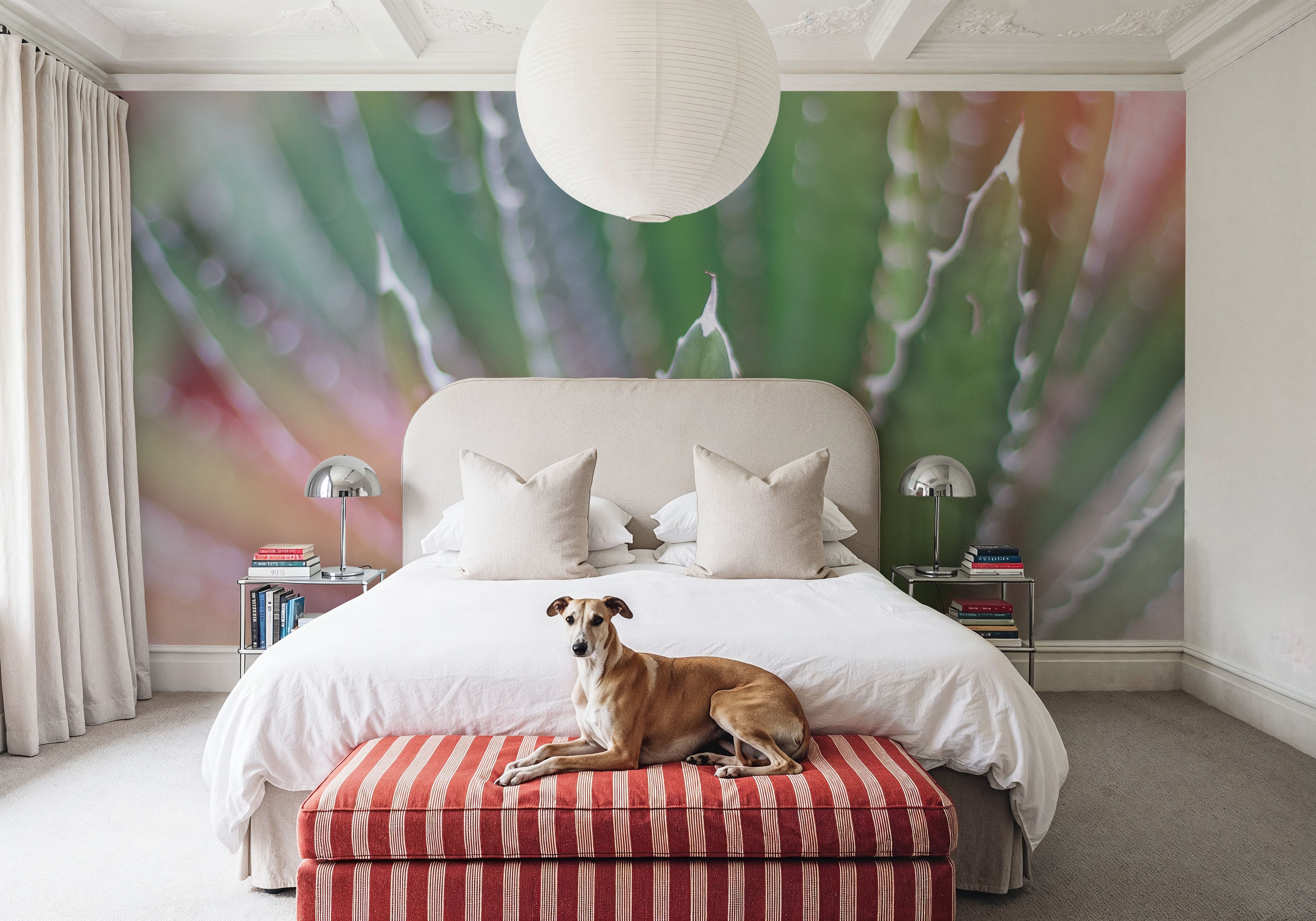 Dream Desert II, Tapet