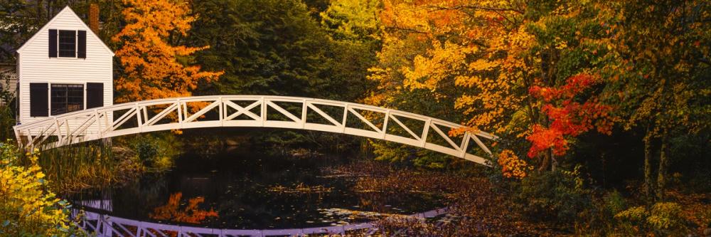 Autumn Footbridge