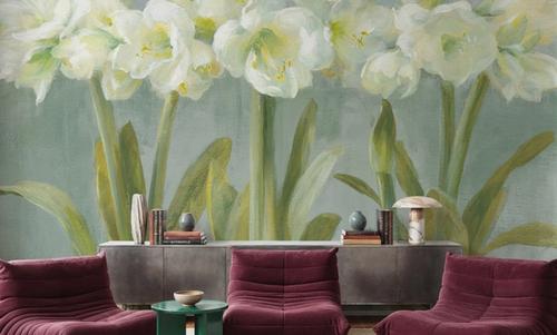 White Amaryllis