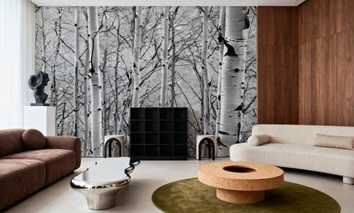 Silver Birch Symphony