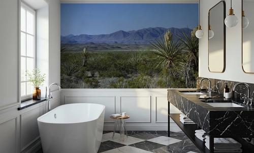 Desert Yucca Vista