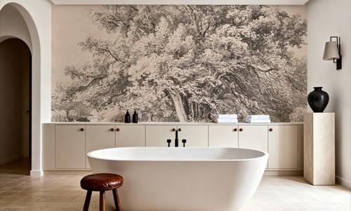 A Lime Tree
