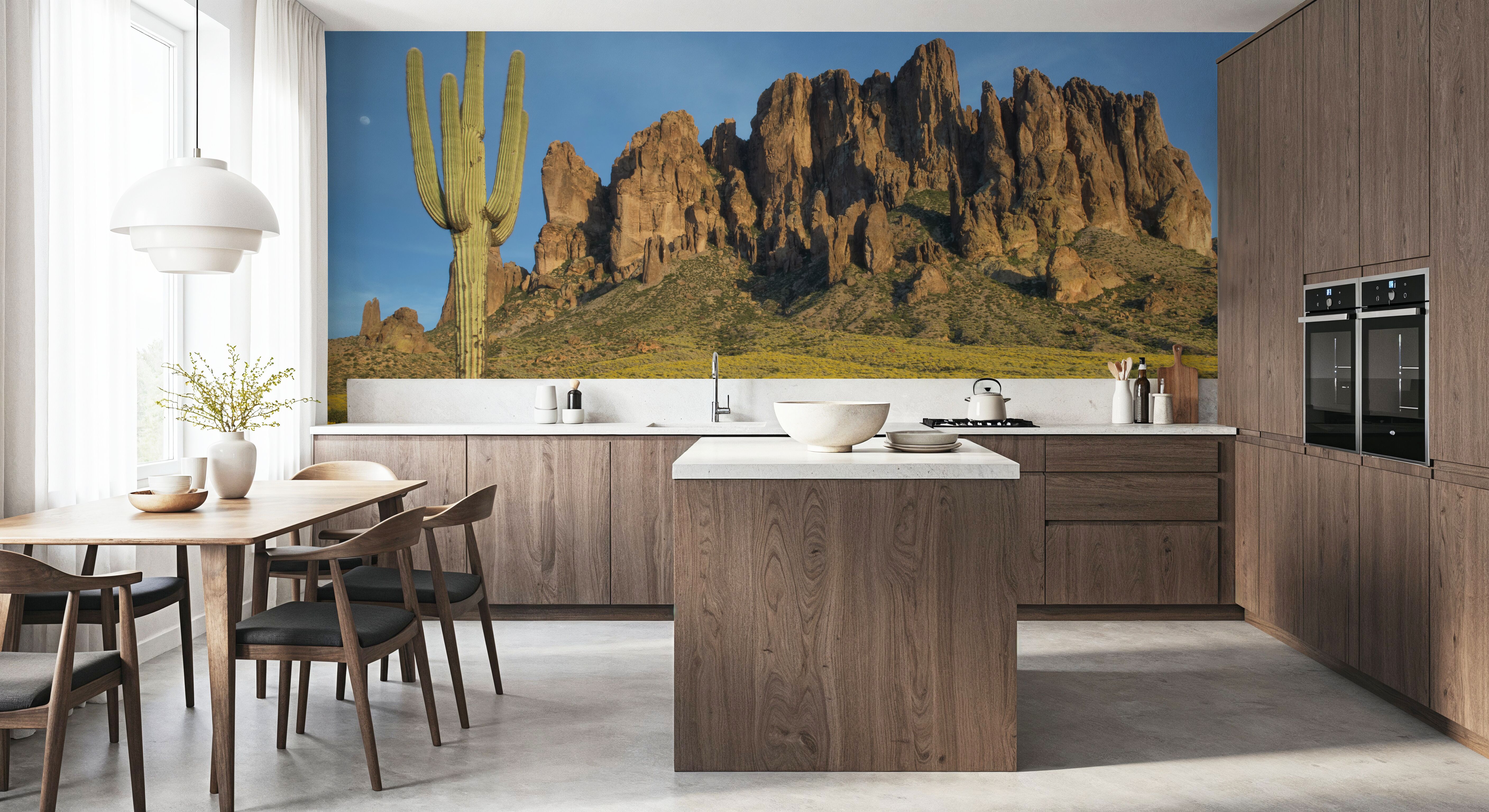 Superstition Mountains