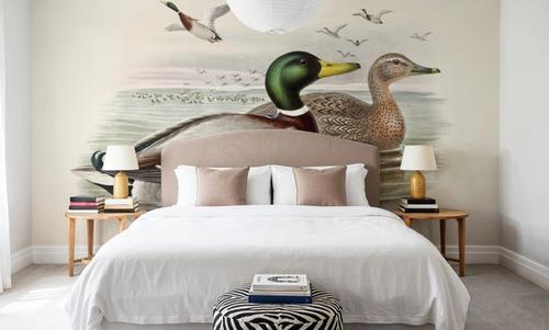 Mallard
