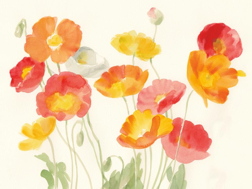 Bright Poppies II