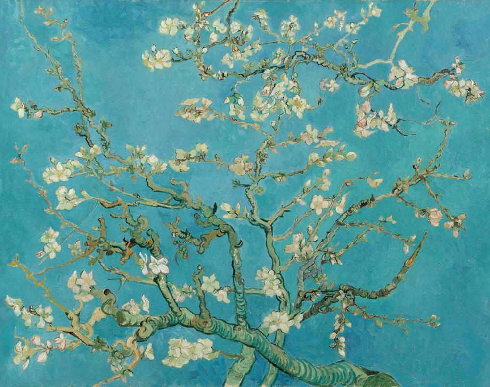 Almond Blossom, Turquoise